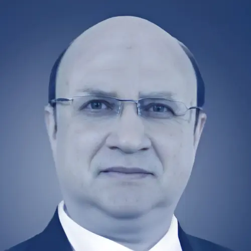 المستشار عماد سعيد: مستشار قانوني خبير بصياغة العقود وإبرام التسويات القانونية.